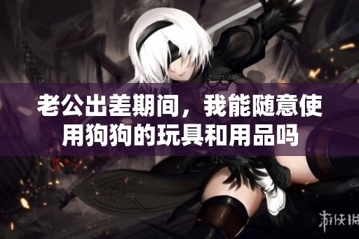 老公出差期间，我能随意使用狗狗的玩具和用品吗
