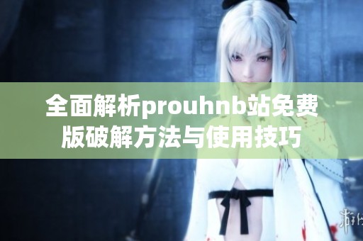 全面解析prouhnb站免费版破解方法与使用技巧