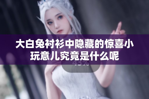 大白兔衬衫中隐藏的惊喜小玩意儿究竟是什么呢