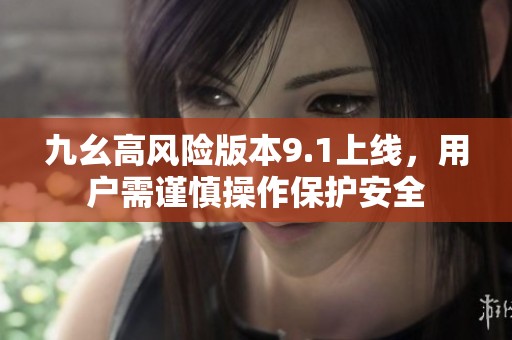 九幺高风险版本9.1上线，用户需谨慎操作保护安全