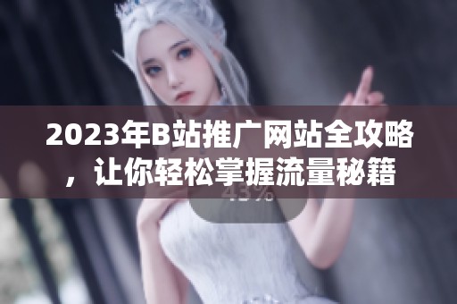 2023年B站推广网站全攻略，让你轻松掌握流量秘籍