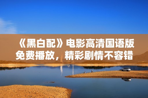 《黑白配》电影高清国语版免费播放，精彩剧情不容错过