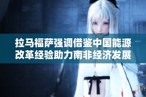 拉马福萨强调借鉴中国能源改革经验助力南非经济发展