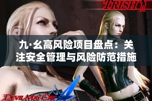 九·幺高风险项目盘点：关注安全管理与风险防范措施