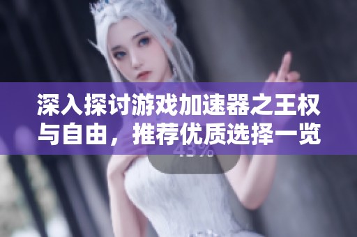 深入探讨游戏加速器之王权与自由，推荐优质选择一览！