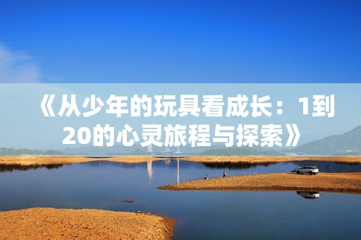 《从少年的玩具看成长：1到20的心灵旅程与探索》