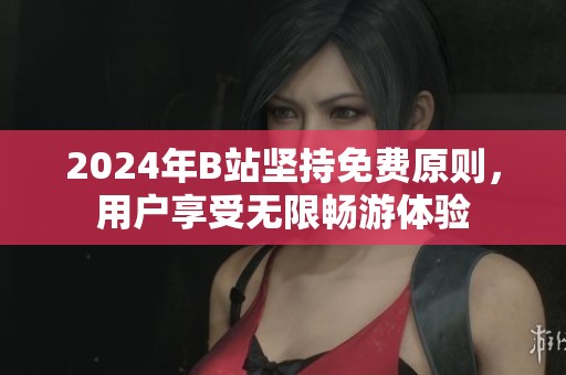 2024年B站坚持免费原则，用户享受无限畅游体验