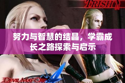 努力与智慧的结晶，学霸成长之路探索与启示