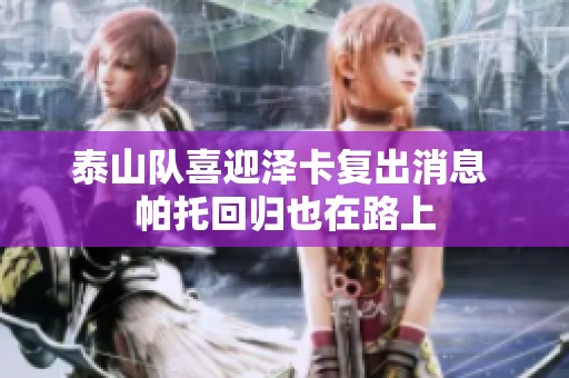 泰山队喜迎泽卡复出消息 帕托回归也在路上