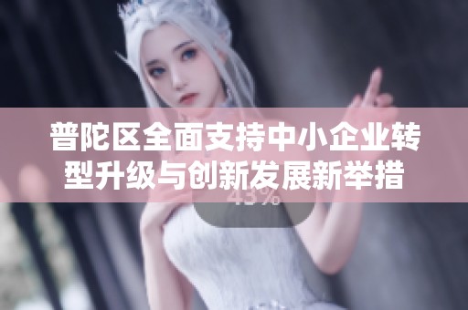普陀区全面支持中小企业转型升级与创新发展新举措