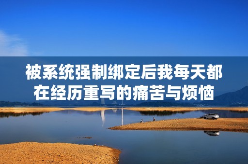被系统强制绑定后我每天都在经历重写的痛苦与烦恼
