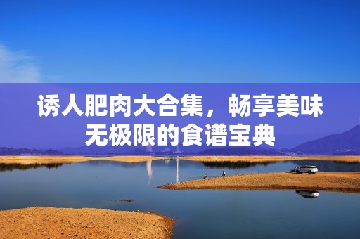 诱人肥肉大合集，畅享美味无极限的食谱宝典