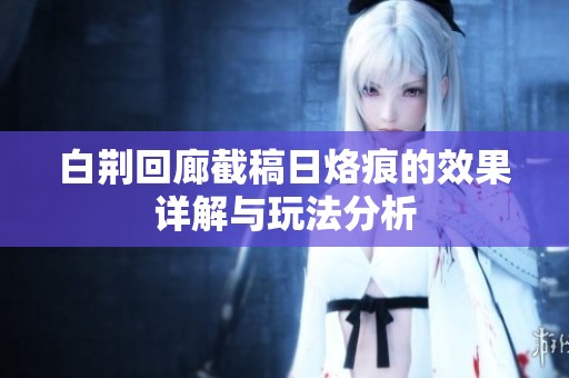 白荆回廊截稿日烙痕的效果详解与玩法分析