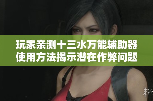 玩家亲测十三水万能辅助器使用方法揭示潜在作弊问题