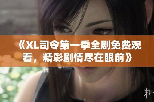 《XL司令第一季全剧免费观看，精彩剧情尽在眼前》