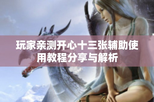 玩家亲测开心十三张辅助使用教程分享与解析