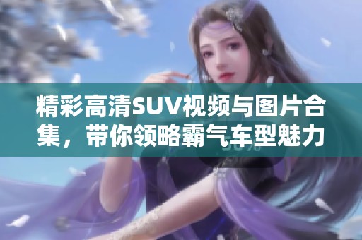 精彩高清SUV视频与图片合集，带你领略霸气车型魅力