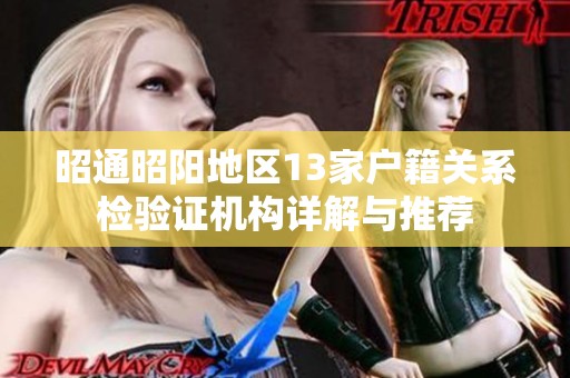 昭通昭阳地区13家户籍关系检验证机构详解与推荐