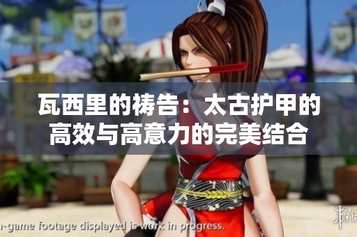 瓦西里的祷告：太古护甲的高效与高意力的完美结合