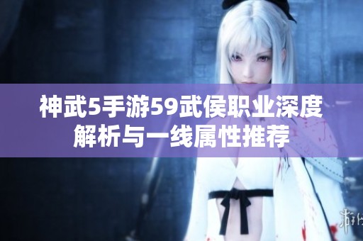 神武5手游59武侯职业深度解析与一线属性推荐