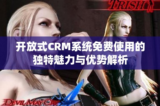 开放式CRM系统免费使用的独特魅力与优势解析