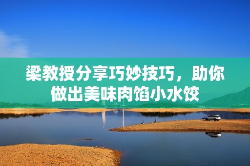 梁教授分享巧妙技巧，助你做出美味肉馅小水饺