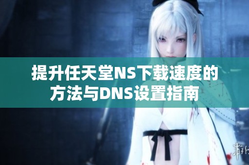 提升任天堂NS下载速度的方法与DNS设置指南