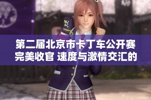 第二届北京市卡丁车公开赛完美收官 速度与激情交汇的盛宴