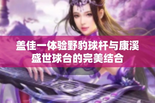 盖佳一体验野豹球杆与康溪盛世球台的完美结合