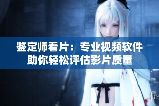 鉴定师看片：专业视频软件助你轻松评估影片质量