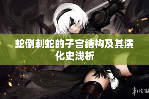 蛇倒刺蛇的子宫结构及其演化史浅析