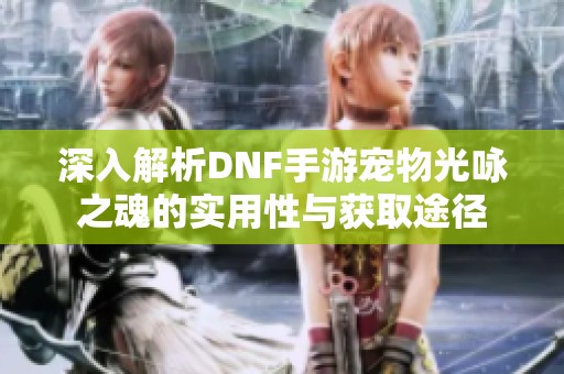 深入解析DNF手游宠物光咏之魂的实用性与获取途径