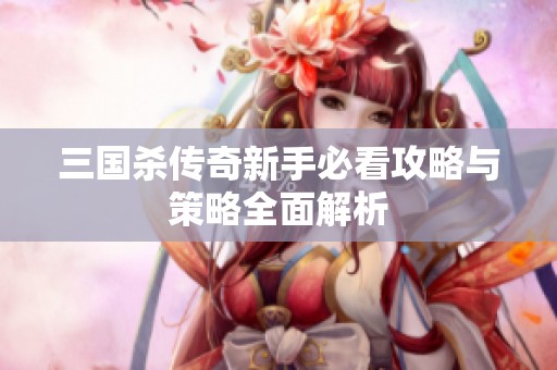 三国杀传奇新手必看攻略与策略全面解析