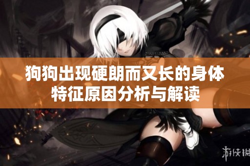 狗狗出现硬朗而又长的身体特征原因分析与解读