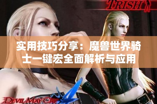 实用技巧分享：魔兽世界骑士一键宏全面解析与应用