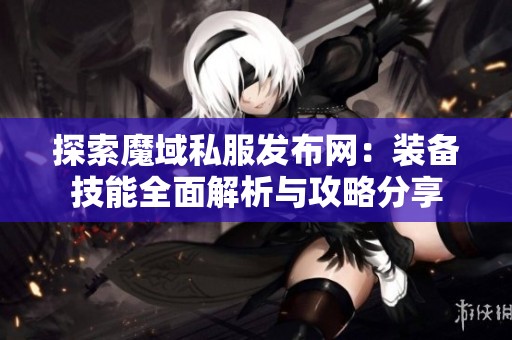 探索魔域私服发布网：装备技能全面解析与攻略分享
