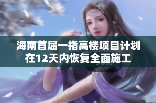 海南首屈一指高楼项目计划在12天内恢复全面施工