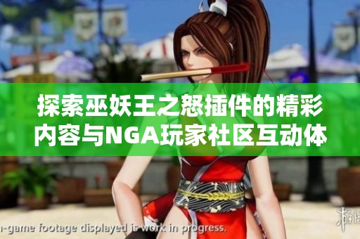 探索巫妖王之怒插件的精彩内容与NGA玩家社区互动体验