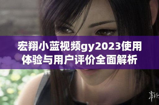 宏翔小蓝视频gy2023使用体验与用户评价全面解析