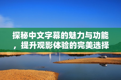 探秘中文字幕的魅力与功能，提升观影体验的完美选择