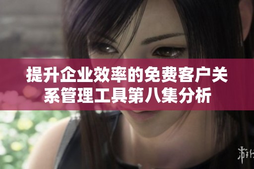 提升企业效率的免费客户关系管理工具第八集分析
