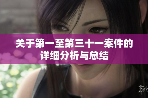 关于第一至第三十一案件的详细分析与总结