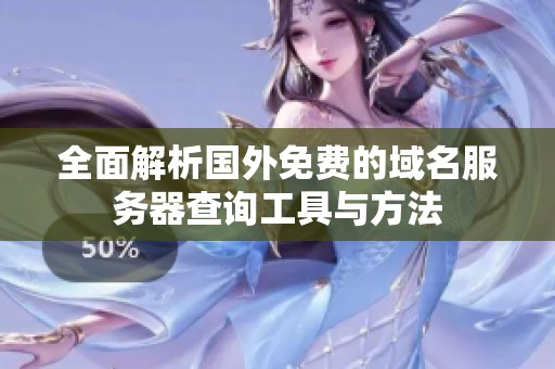全面解析国外免费的域名服务器查询工具与方法