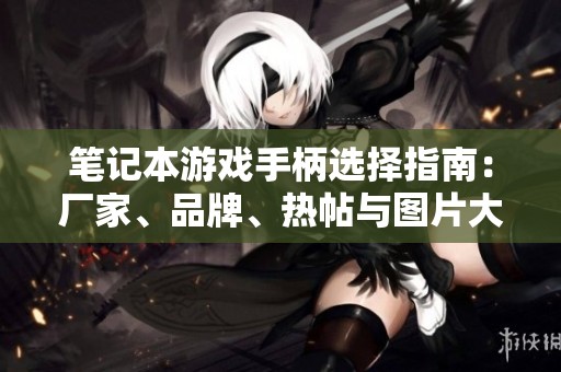 笔记本游戏手柄选择指南：厂家、品牌、热帖与图片大全