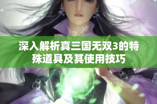 深入解析真三国无双3的特殊道具及其使用技巧
