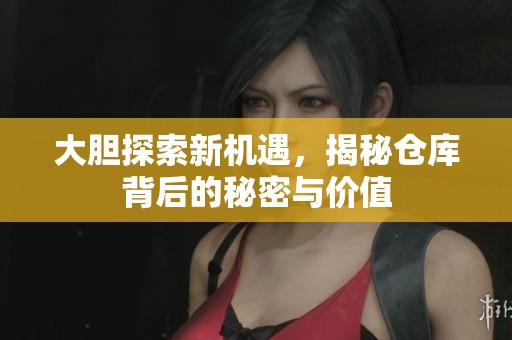 大胆探索新机遇，揭秘仓库背后的秘密与价值