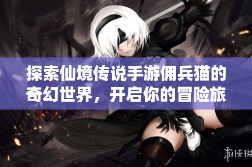 探索仙境传说手游佣兵猫的奇幻世界，开启你的冒险旅程