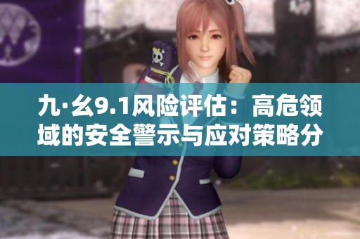 九·幺9.1风险评估：高危领域的安全警示与应对策略分析