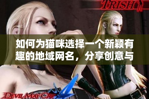 如何为猫咪选择一个新颖有趣的地域网名，分享创意与灵感