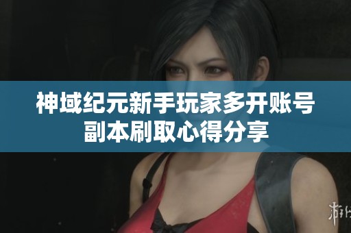 神域纪元新手玩家多开账号副本刷取心得分享